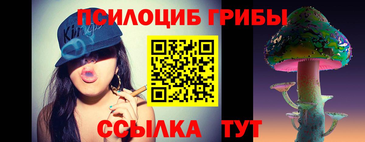 Псилоцибиновые грибы Psilocybe  Галлюциногенные грибы прущие грибы  Аша  Вход с VPN 
